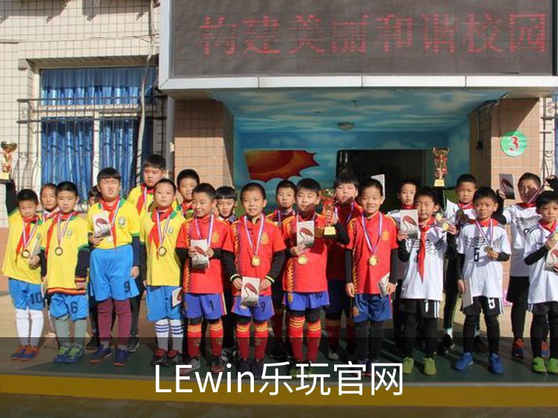 关于LEwin乐玩官网