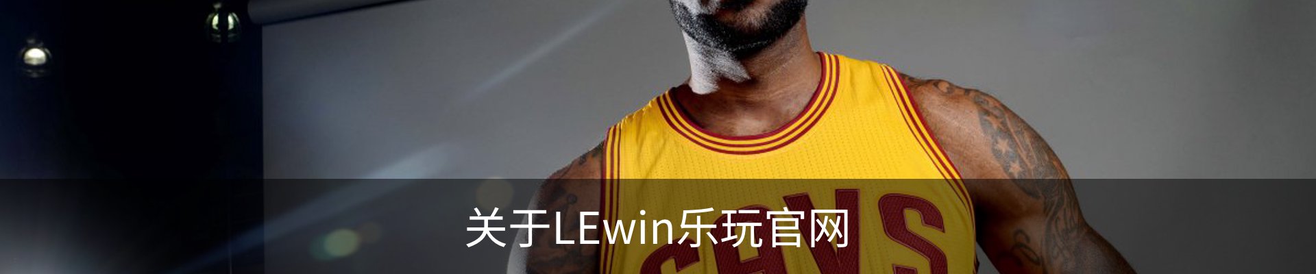 关于LEwin乐玩官网