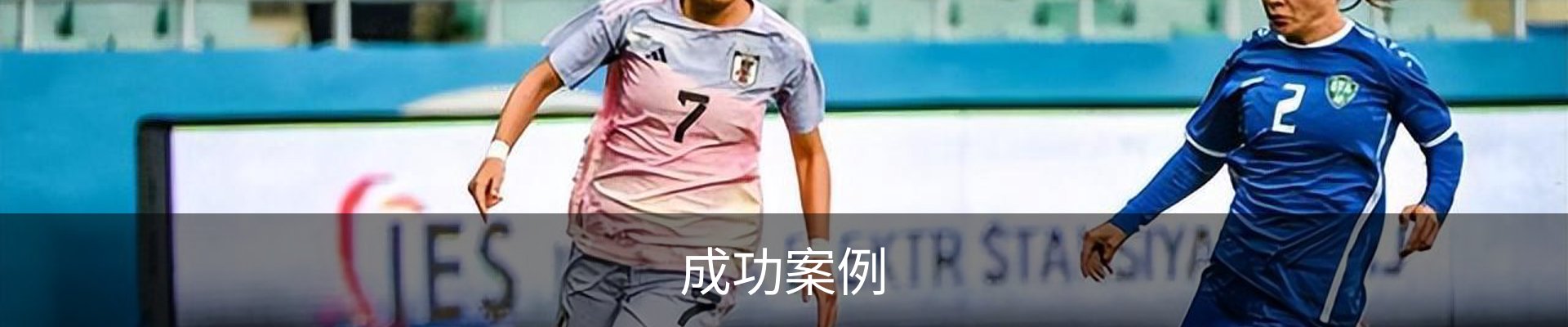 成功案例