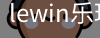 LEwin乐玩官网